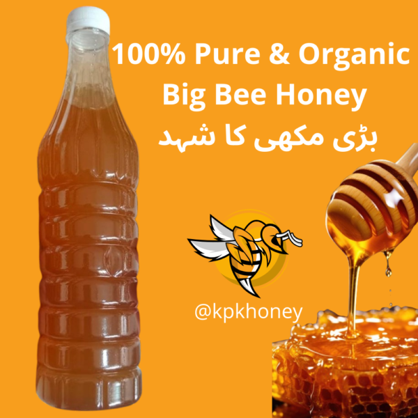 Big Bee Honey 1kg شہد بڑی مکھی | جنگلی شہد|